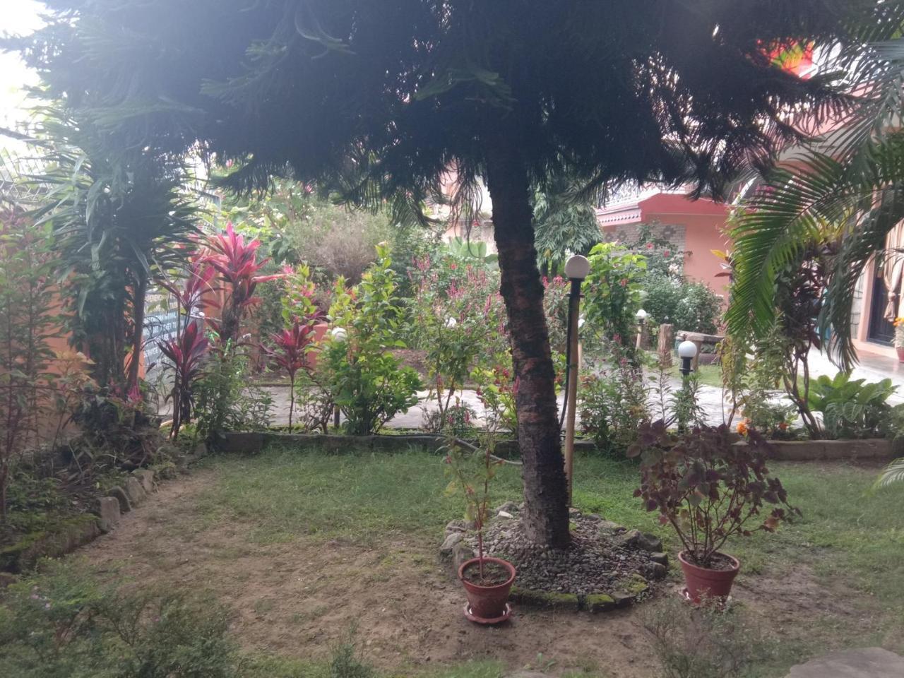 Kalpana G. House Hotell Pokhara Exteriör bild